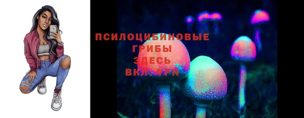apvp Пересвет