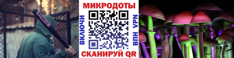 Галлюциногенные грибы MAGIC MUSHROOMS  где можно купить   маркетплейс наркотические препараты  Пошехонье 